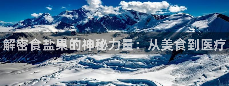 威九国际旗下艺人都有谁