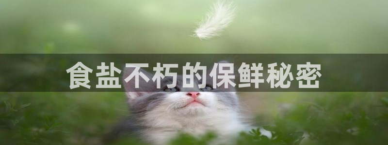 威九国际可以退钱吗怎么退的