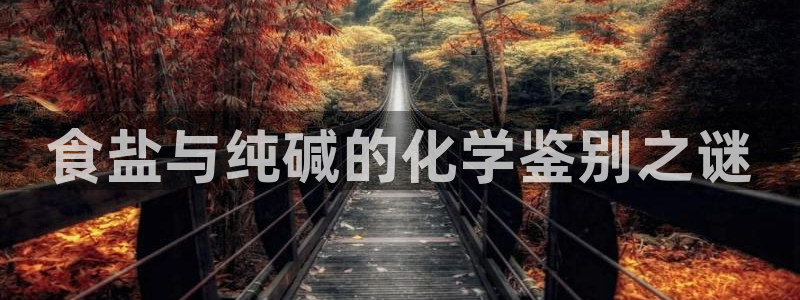 威九国际抡里