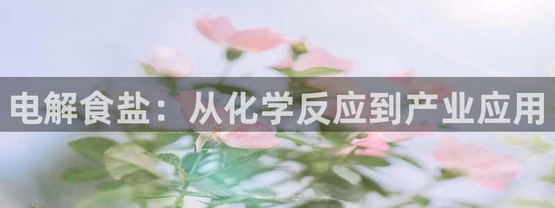 威九国际女主名字