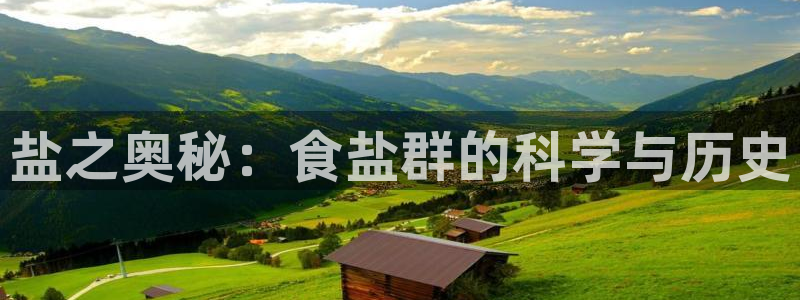 威九国际抡里