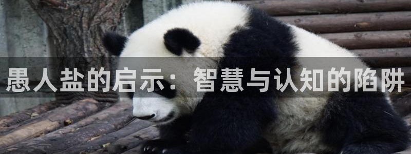 威九国际网站传媒