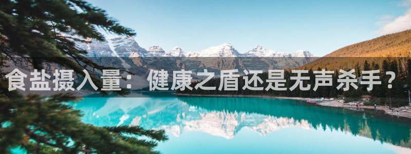 威九国际宣传片