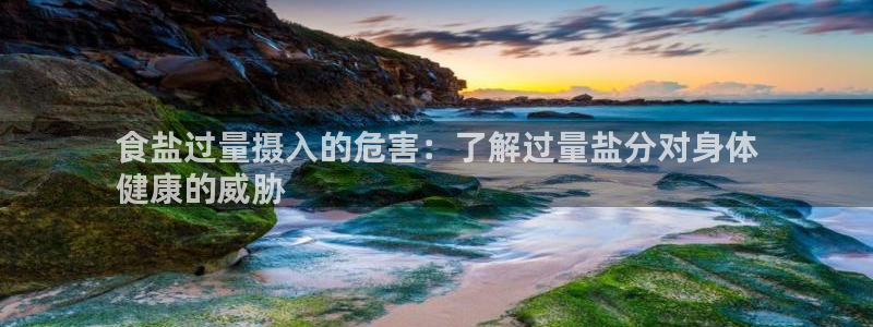 威九国际可以赚到钱