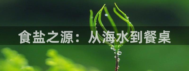 威九国际网站为什么不禁止