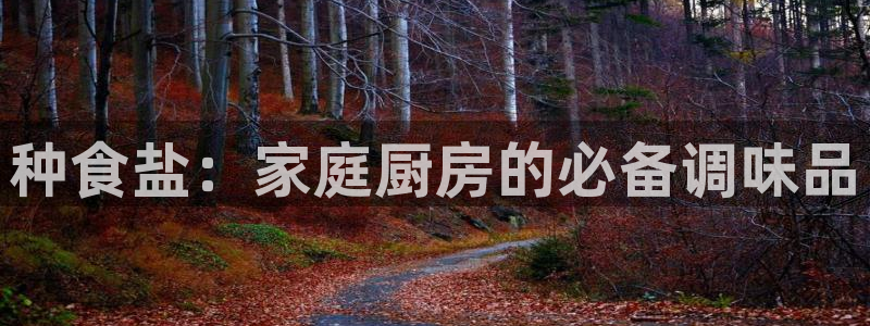 威九国际旗下艺人有谁