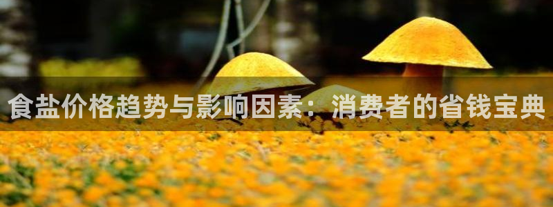 威九国际网站入口官网游戏推荐