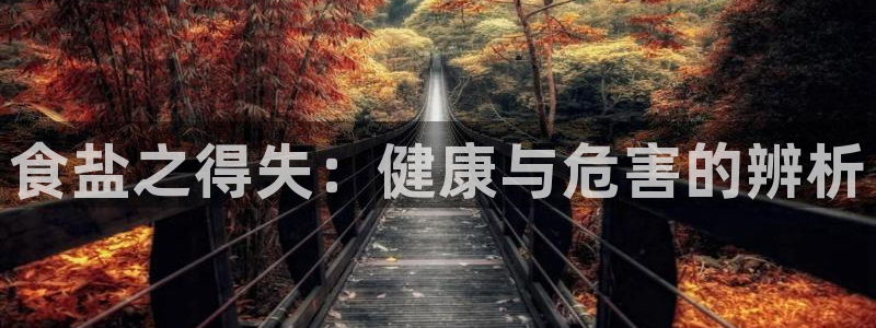 66m威九国际成长模式