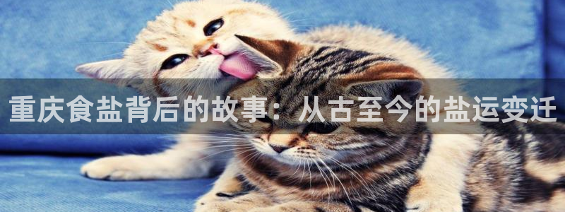 威九国际网站进入客服中心