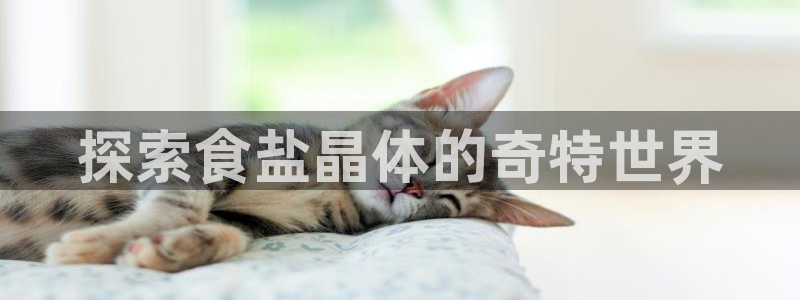 威九国际78mapp官网版下载