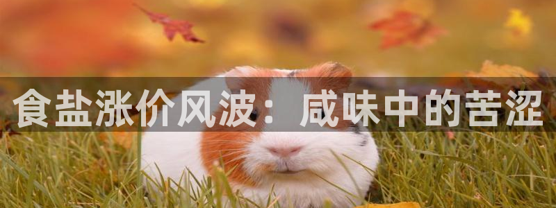 威九国际韩国