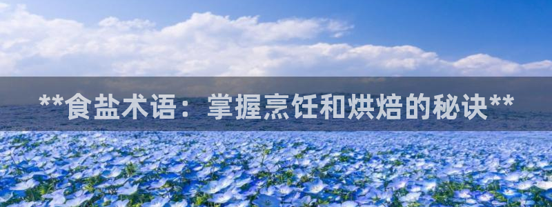 威九国际ppt免费