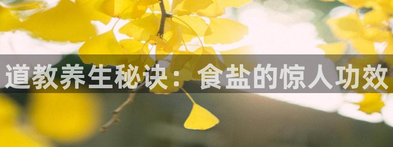 威九国际78mob游戏特色