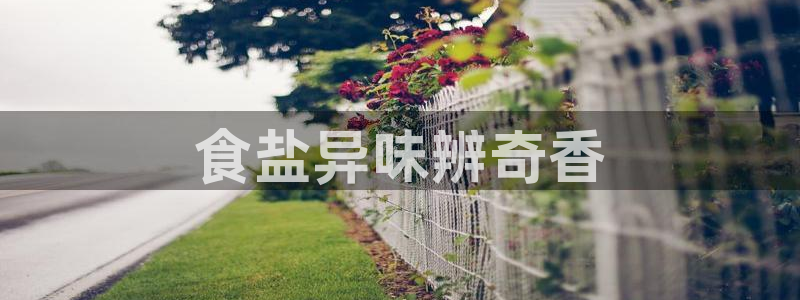 威九国际网站进入客服中心怎么退出