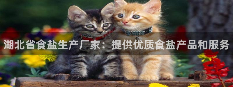 威九国际游戏