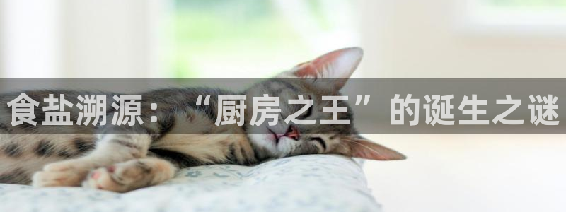 威九国际摩托电影HD