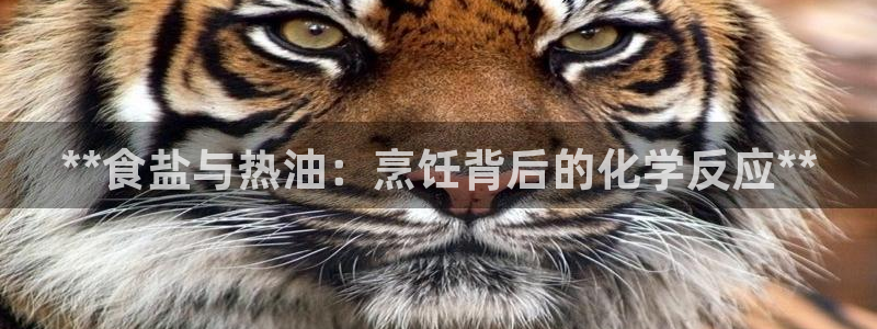 威九国际官网在线进入网站查询