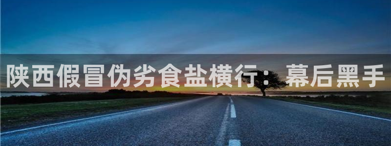 保定威九网络科技有限公司电话