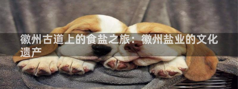 威九国际app网站安全吗