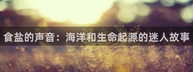 威九国际app无法登陆怎么回事