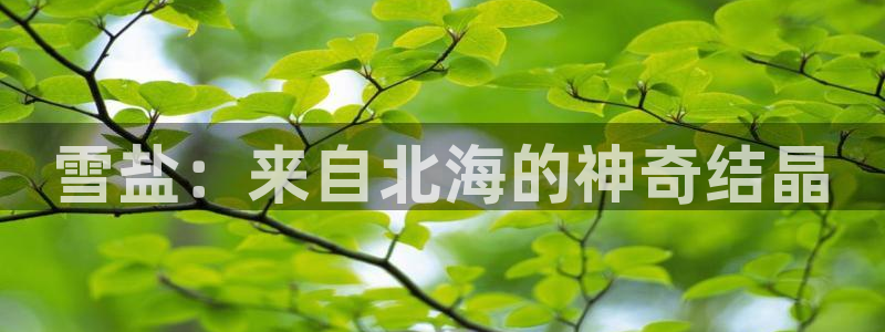 威九国际78m九妹