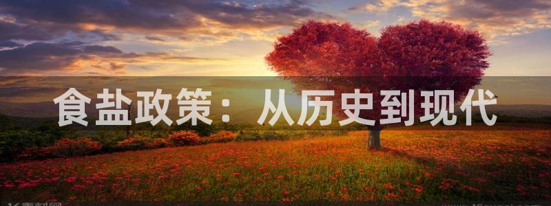 威九国际全国空降