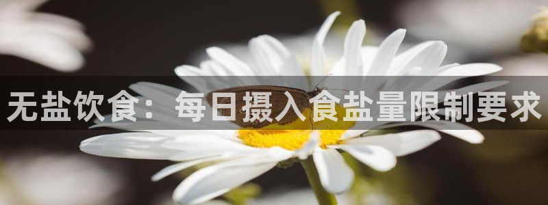 威九国际app网站官网