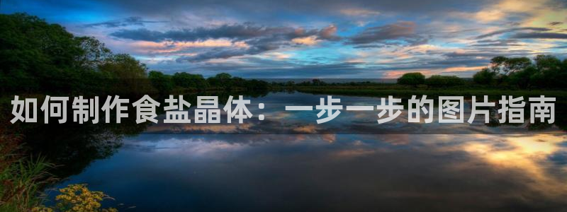 威九国际女主角