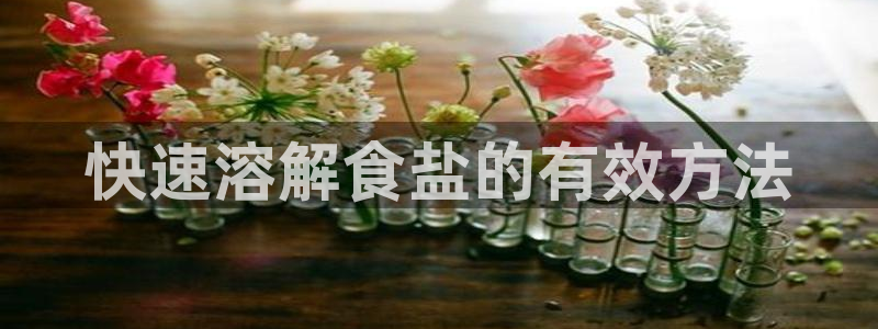 威九国际v9