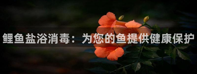 威九国际78mapp官网版下载