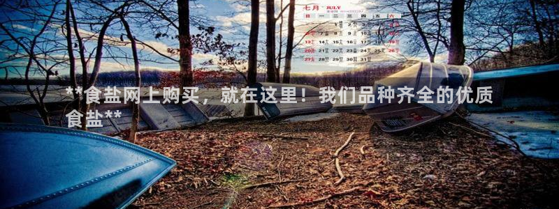 威九国际图片