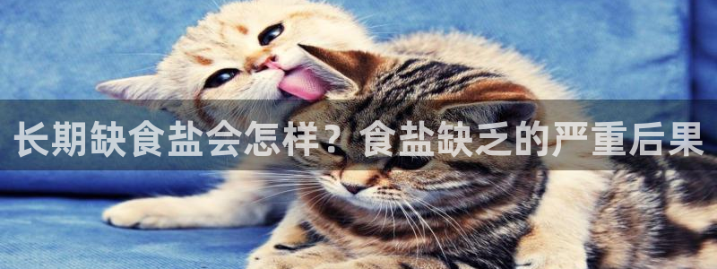 威九国际网站入口官网游戏推荐