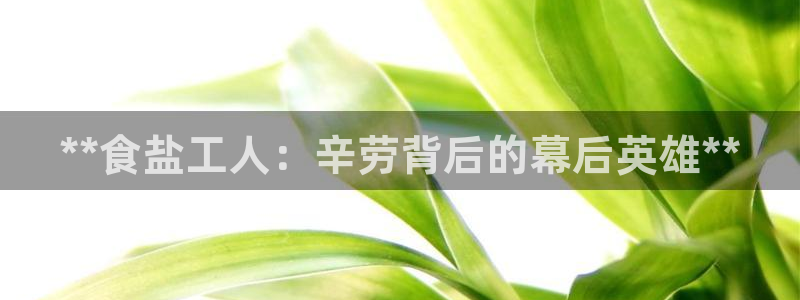 78mapp威九国际官网