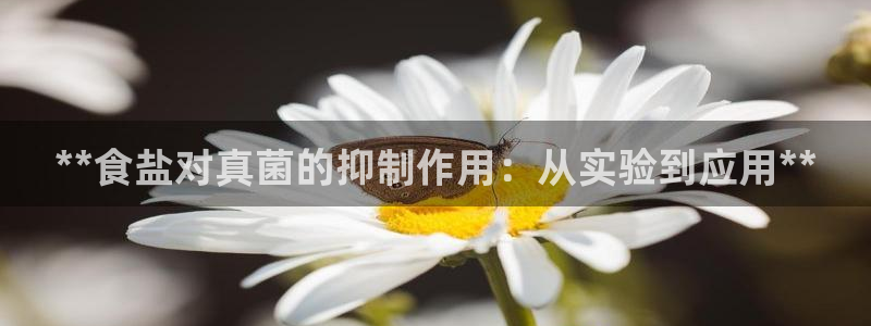 威九国际网站更新了吗