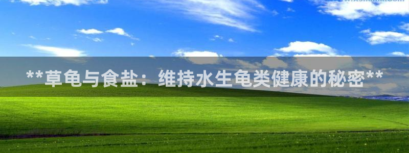 威九国际网站
