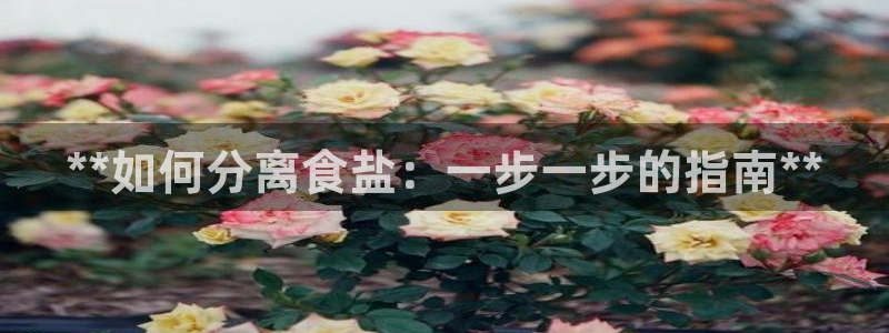 威九国际男主