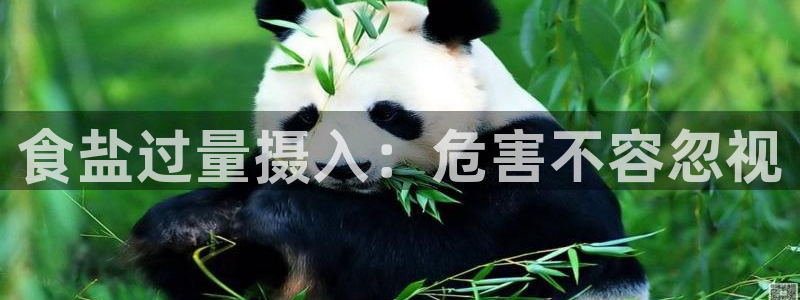 威九国际免费游戏