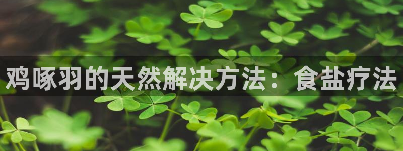 保定威九网络科技有限公司电话
