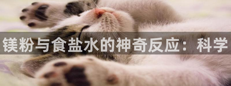 威九国际国精彩片段
