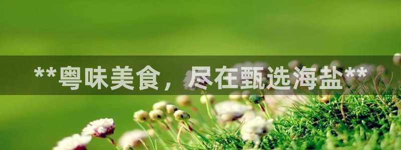 威九国际66m-66