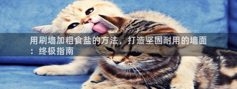 威九国际精免费下载