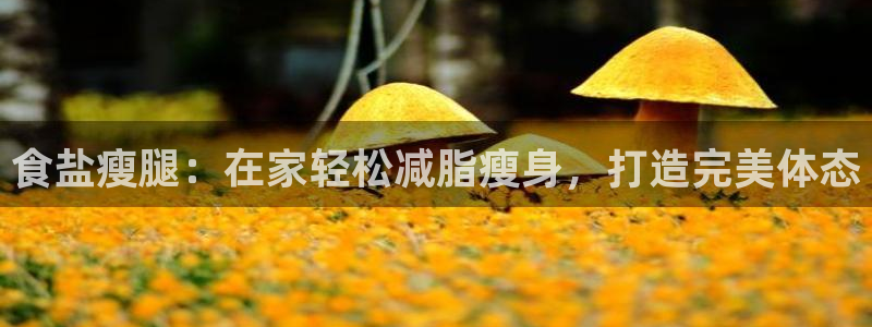 威九国际网页看视频弹窗的广告拦截插件