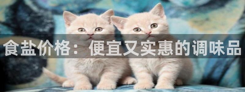 威九国际app大全下载安装