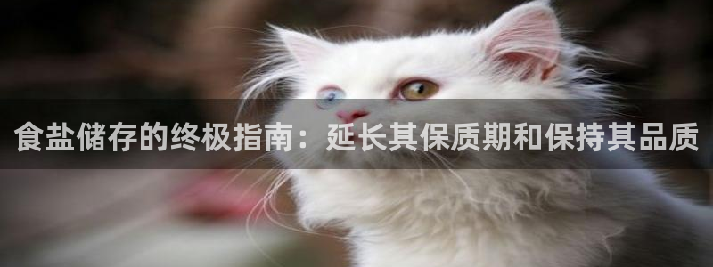 威九国际第一页