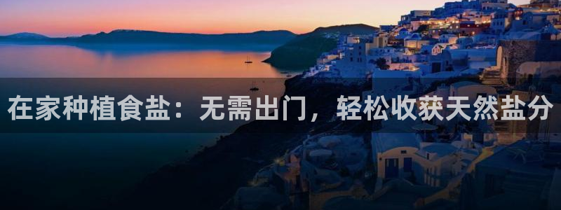威九国际精选