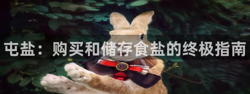 威九国际h5
