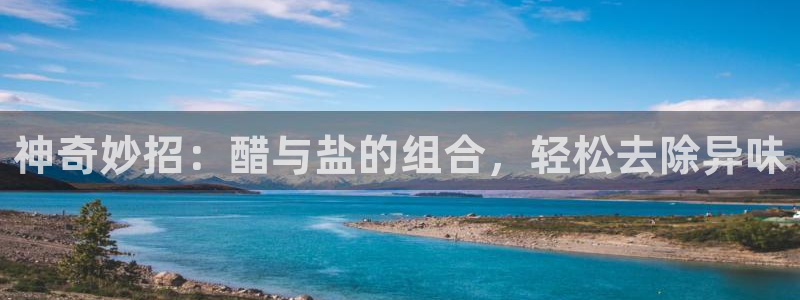 威九国际留学