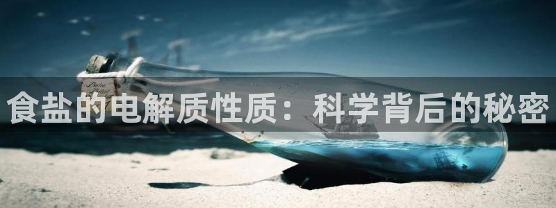 威九国际小说