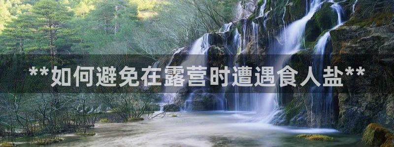 威九国际78map.p