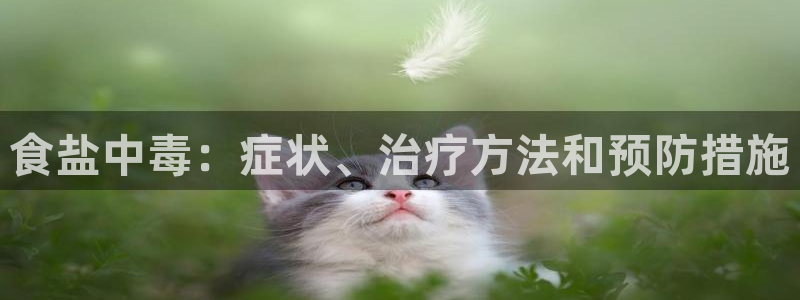 威九国际旗下艺人都有谁
